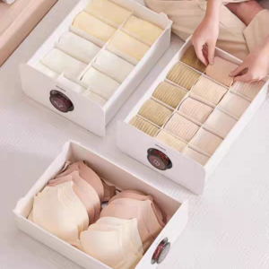 Socks ,bras and panties organizer - Image 12