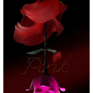 Jaki Pink Flower - Image 6