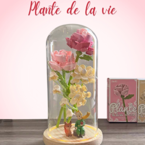 Be my Valentine(Jaki) - Image 9